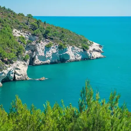 Veranda Sul Mare Appartamento